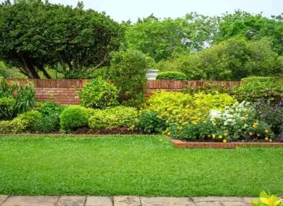 landscaping services Spring Creek